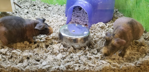 Pet Supply Store «PetSmart», reviews and photos, 1515 US-22, Watchung, NJ 07069, USA