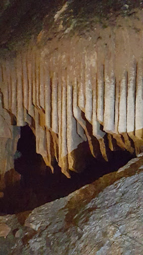 Wedding Venue «Melrose Caverns», reviews and photos, 6639 N Valley Pike, Harrisonburg, VA 22802, USA