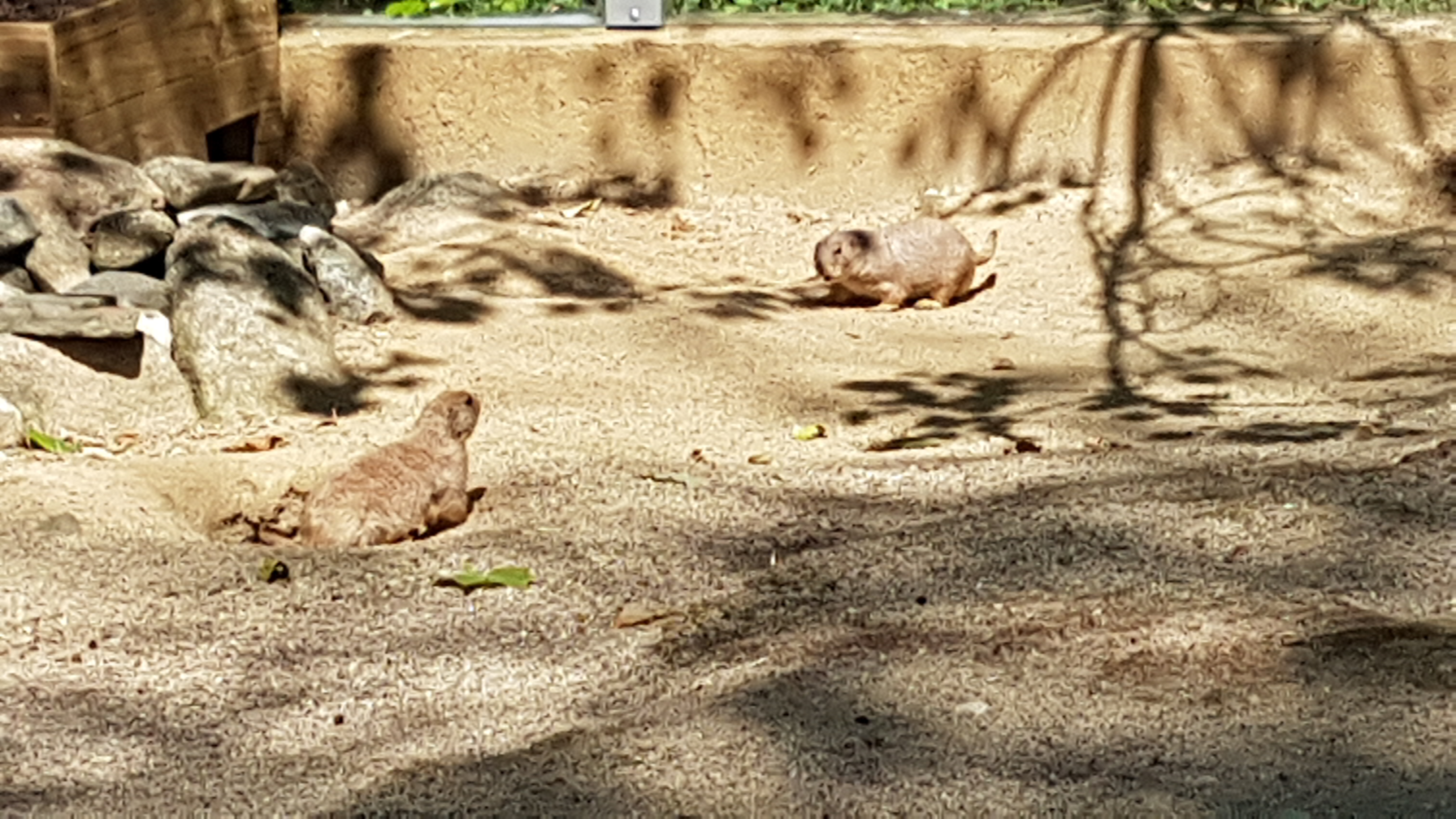 Photo n° 17 de l'avis de Dominique.A fait le 21/05/2019 à 20:35