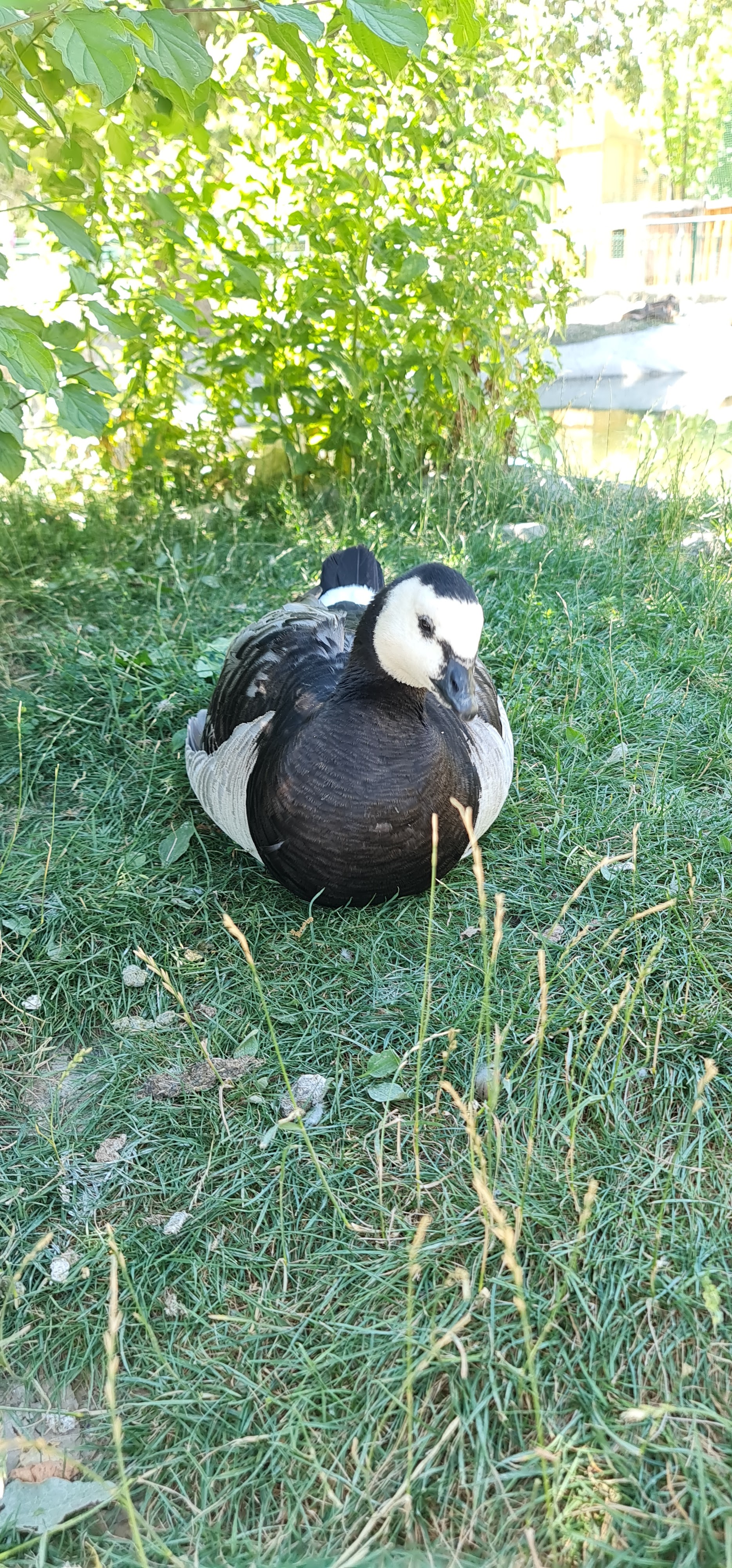 Photo n° 15 de l'avis de Julie.a fait le 03/08/2019 à 12:47