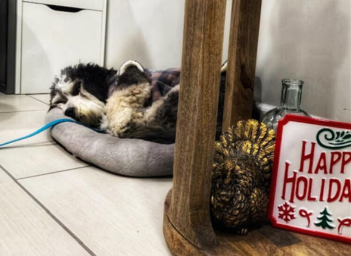 Auto Insurance Agency «State Farm: Nick Reed», reviews and photos