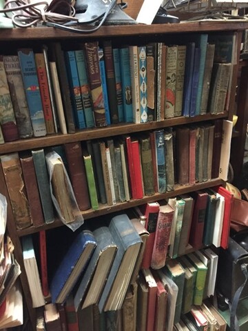 Florist «Ames Greenhouse», reviews and photos, 3011 S Duff Ave, Ames, IA 50010, USA