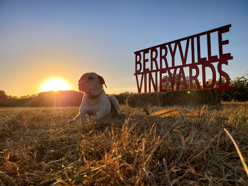Vineyard «Berryville Vineyards», reviews and photos, 1955 N Prairieton Rd, Claremont, IL 62421, USA