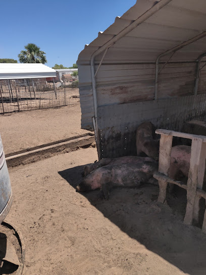 Pamlann Farms Pig Farm
