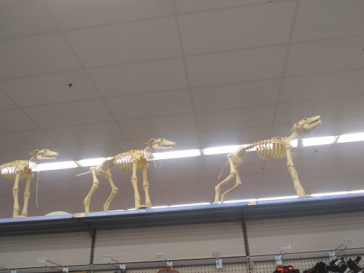 Department Store «Walmart Supercenter», reviews and photos, 1600 E Chestnut Ave, Yakima, WA 98901, USA