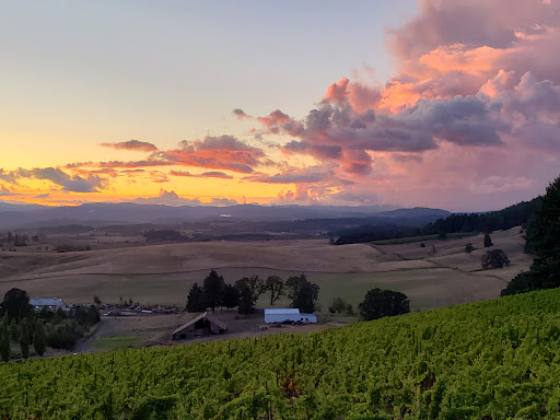 Winery «Lenne», reviews and photos, 18760 NE Laughlin Rd, Yamhill, OR 97148, USA