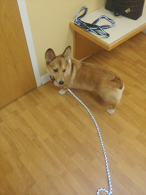 Central Park Veterinary Clinic