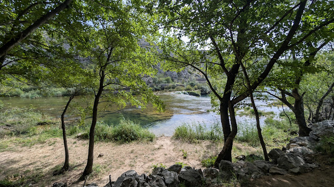 Jankovića Buk - Trgovina
