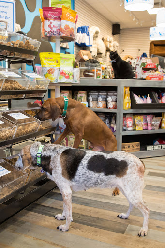 Gift Shop «Nautical Dog LLC», reviews and photos, 5104 Main St, Williamsburg, VA 23188, USA