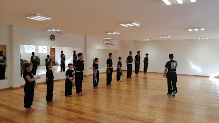 Academia Wushu Kung Fu Tigre Blanco (Col. Progreso)