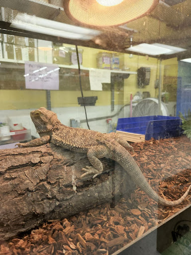 Pet Store «Coral Reef Pet Center», reviews and photos, 7723 W Lawrence Ave, Norridge, IL 60706, USA