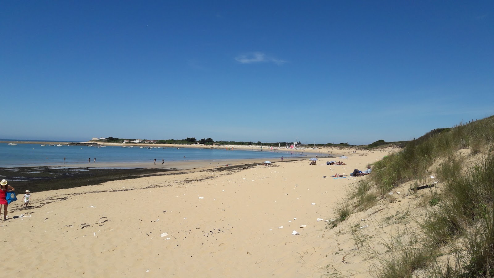 Photo de Remigeasse beach zone sauvage
