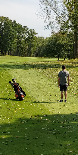 Golf Course «Balmoral Golf Course», reviews and photos, 28294 Otter Rd, Battle Lake, MN 56515, USA