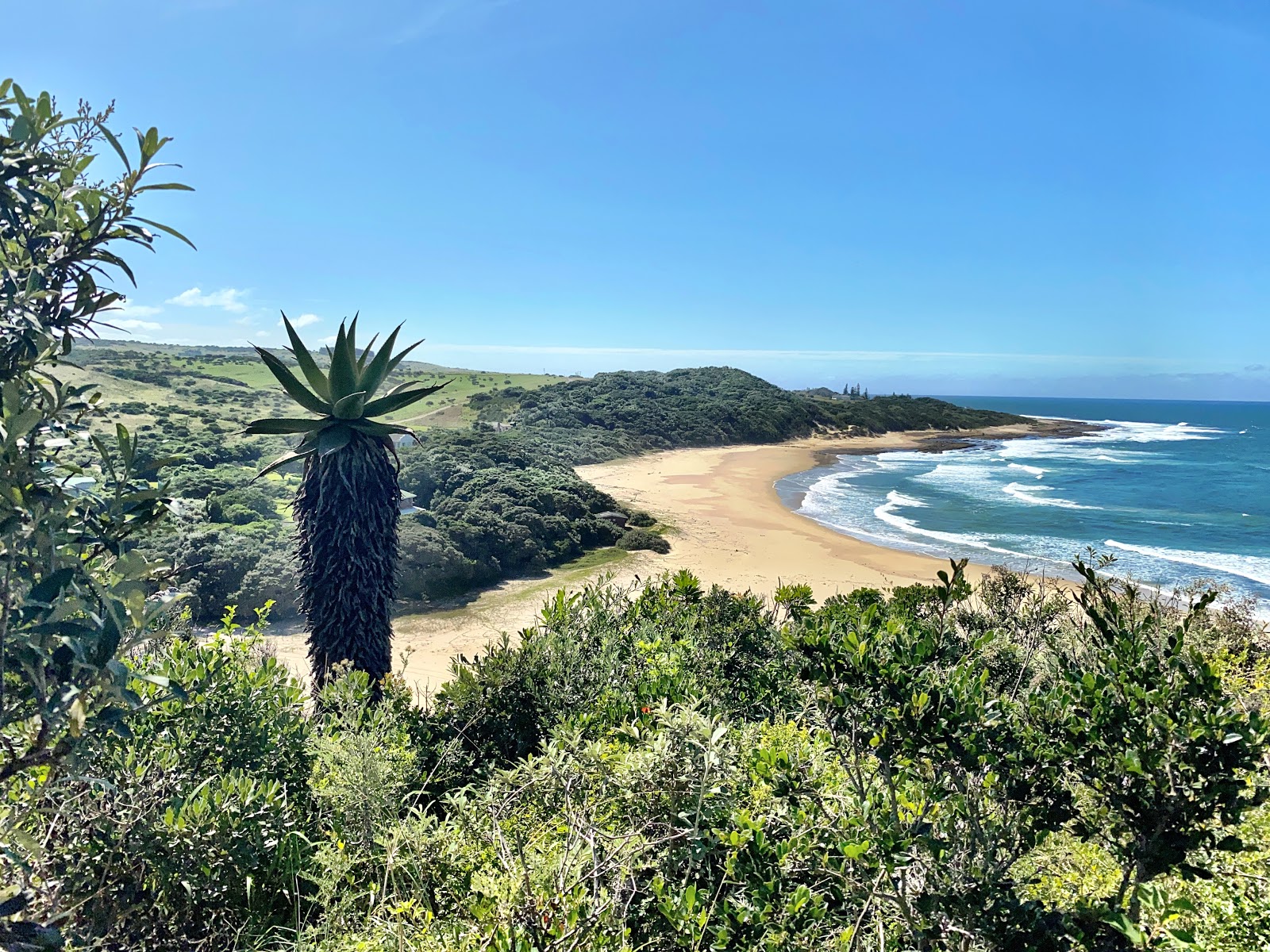 Foto van Haga Haga beach gelegen in een natuurlijk gebied