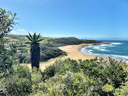 Photo de Haga Haga beach - endroit populaire parmi les connaisseurs de la détente