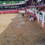 Photo n° 7 de l'avis de Jean-baptiste.r fait le 13/06/2022 à 11:16 pour Arènes Jean Bartherotte d'Estang à Estang