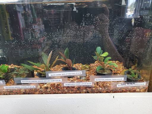 Pet Store «Pet Town», reviews and photos, 7804 Florence Ave, Downey, CA 90240, USA