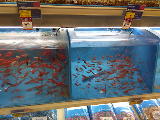 Pet Supply Store «PetSmart», reviews and photos, 2641 Lawndale Dr, Greensboro, NC 27408, USA