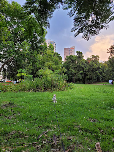 Parques cerca Santo Domingo