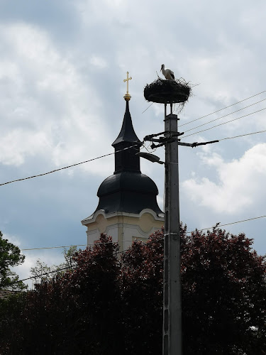 Gyulai Szent Paraszkéva-templom - Templom