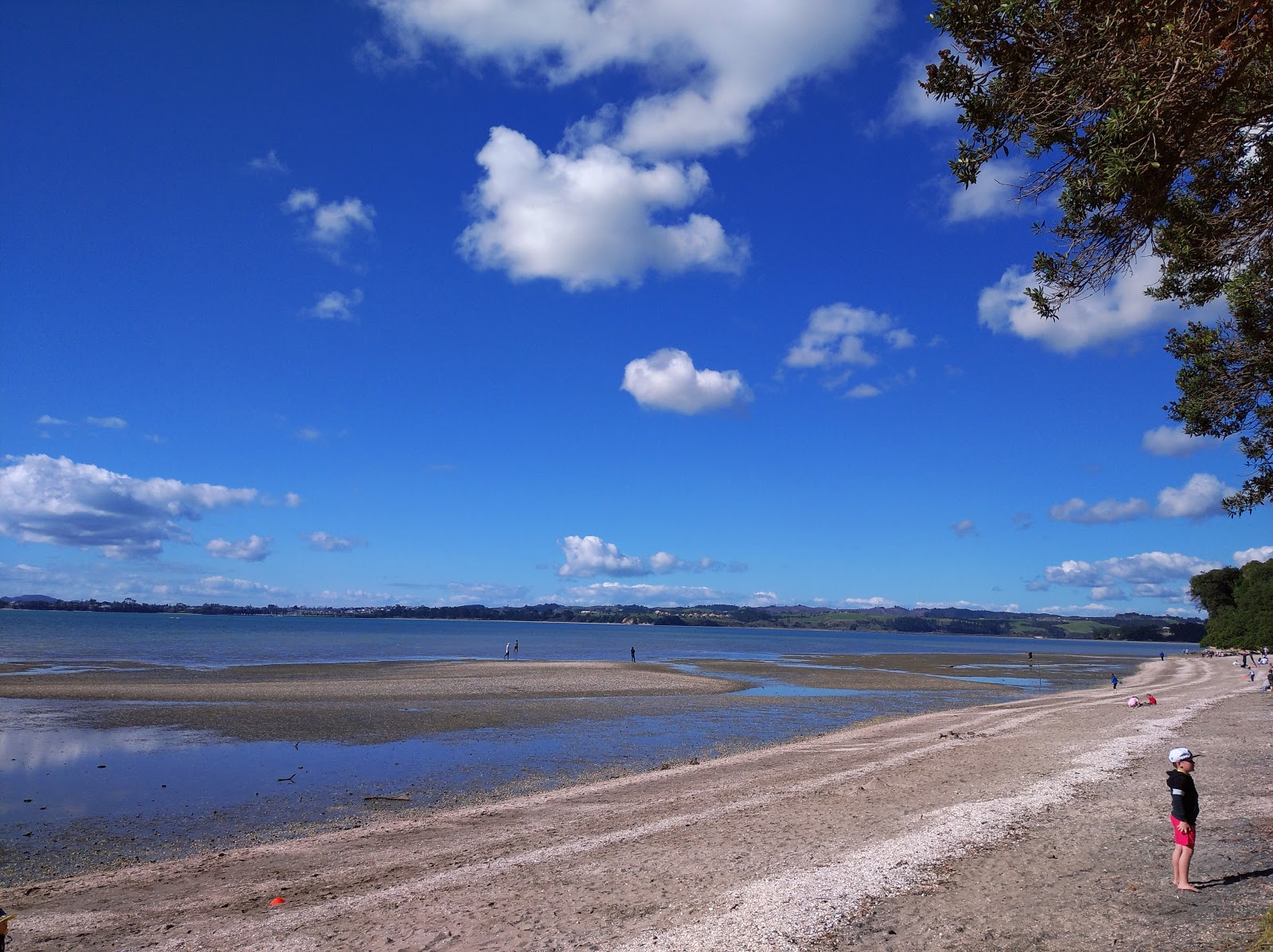 Foto van Cockle Bay Beach met beige zand oppervlakte