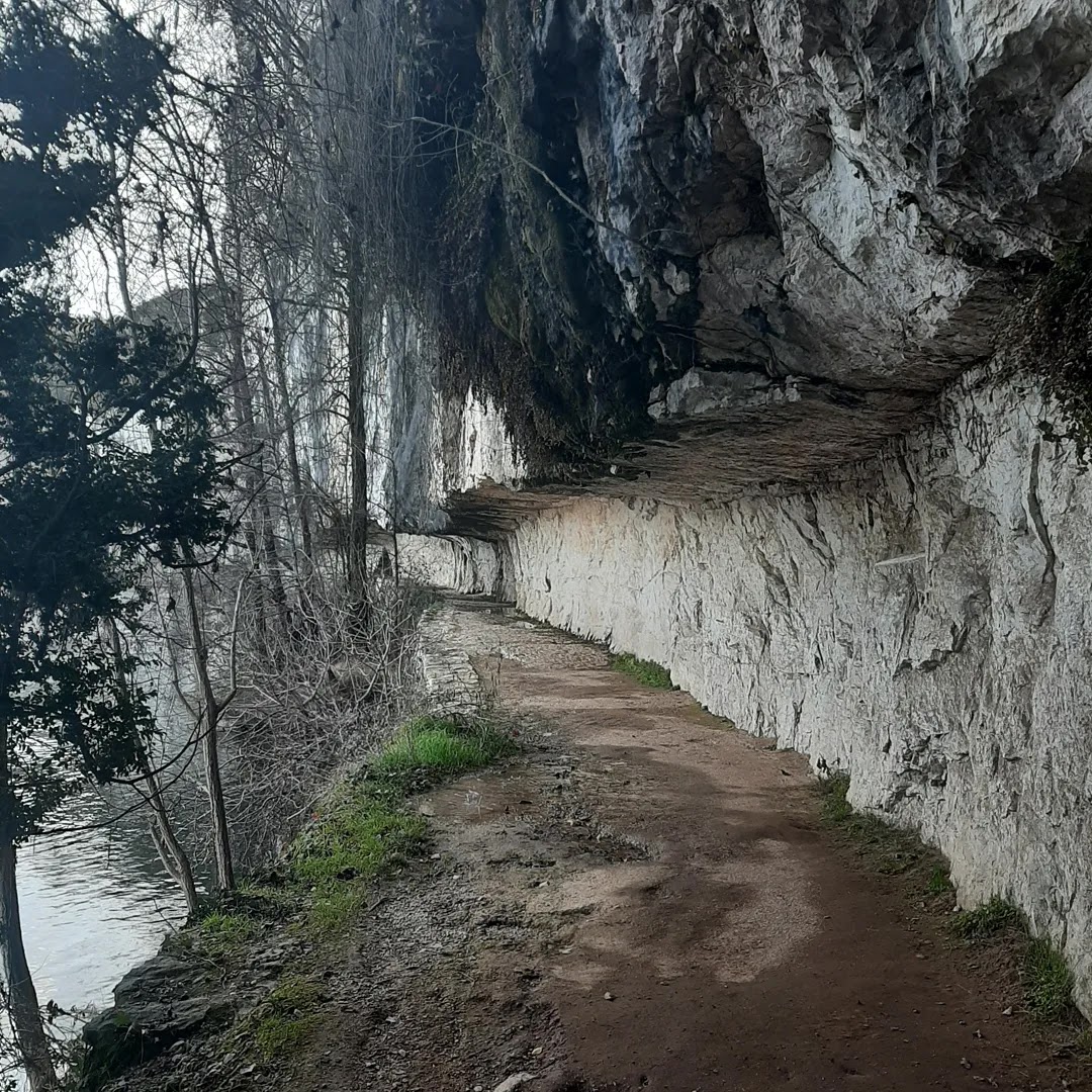 Photo n° 10 de l'avis de Arnaud.o fait le 20/08/2023 à 15:00