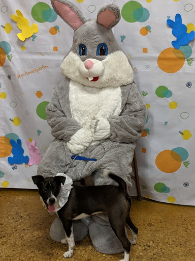 Pet Supply Store «PetSmart», reviews and photos, 1110 NY-112, Port Jefferson Station, NY 11776, USA