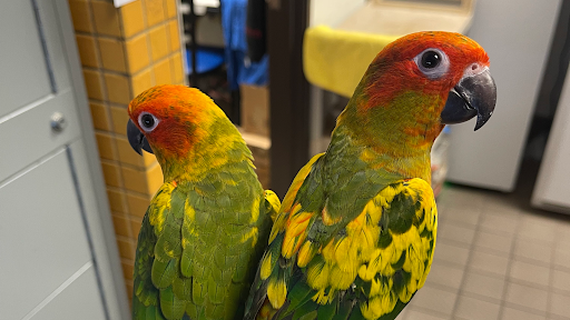 Pet Supply Store «House of Pets Inc», reviews and photos, 29500 Ford Rd, Garden City, MI 48135, USA