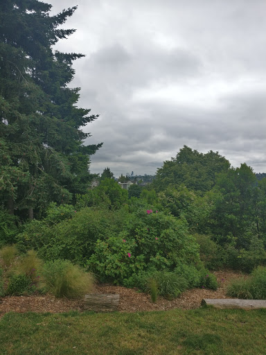 Park «Fremont Peak Park», reviews and photos, 4357 Palatine Ave N, Seattle, WA 98103, USA
