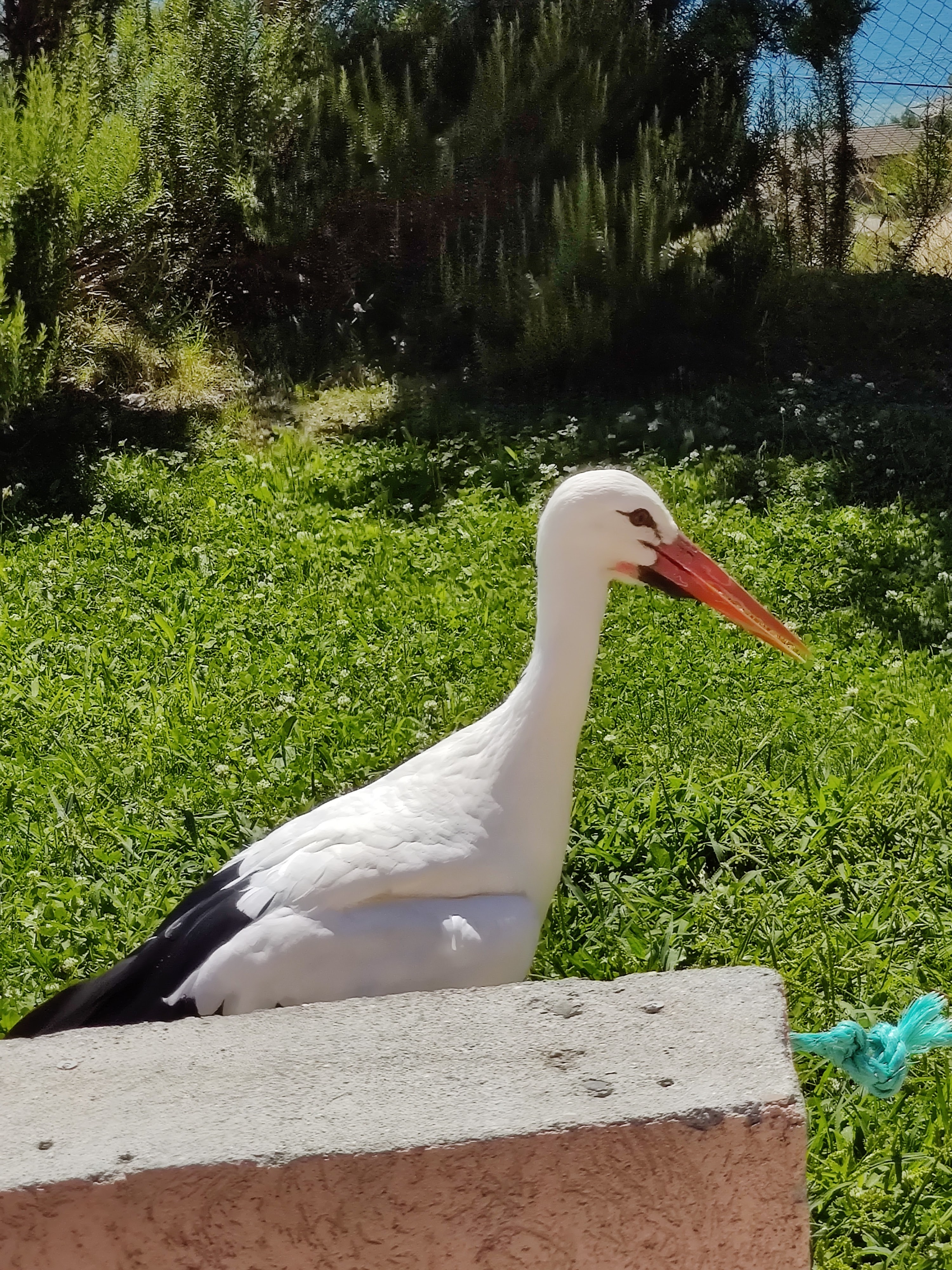 Photo n° 1 de l'avis de Julien.o fait le 14/08/2020 à 12:49