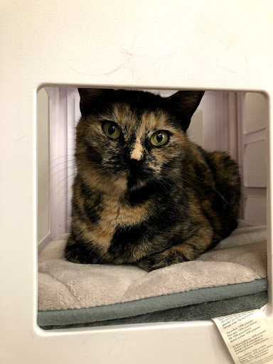 Pet Supply Store «Pet Supplies Plus», reviews and photos, 17205 S Golden Rd, Golden, CO 80401, USA