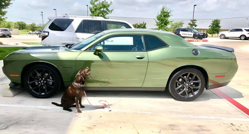 Car Dealer «San Marcos Chrysler Dodge Jeep Ram», reviews and photos, 2990 S Interstate Hwy 35, San Marcos, TX 78666, USA