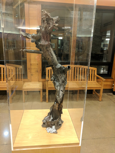 Park «Silverwood Park», reviews and photos, 2500 County Rd E, St Anthony, MN 55421, USA