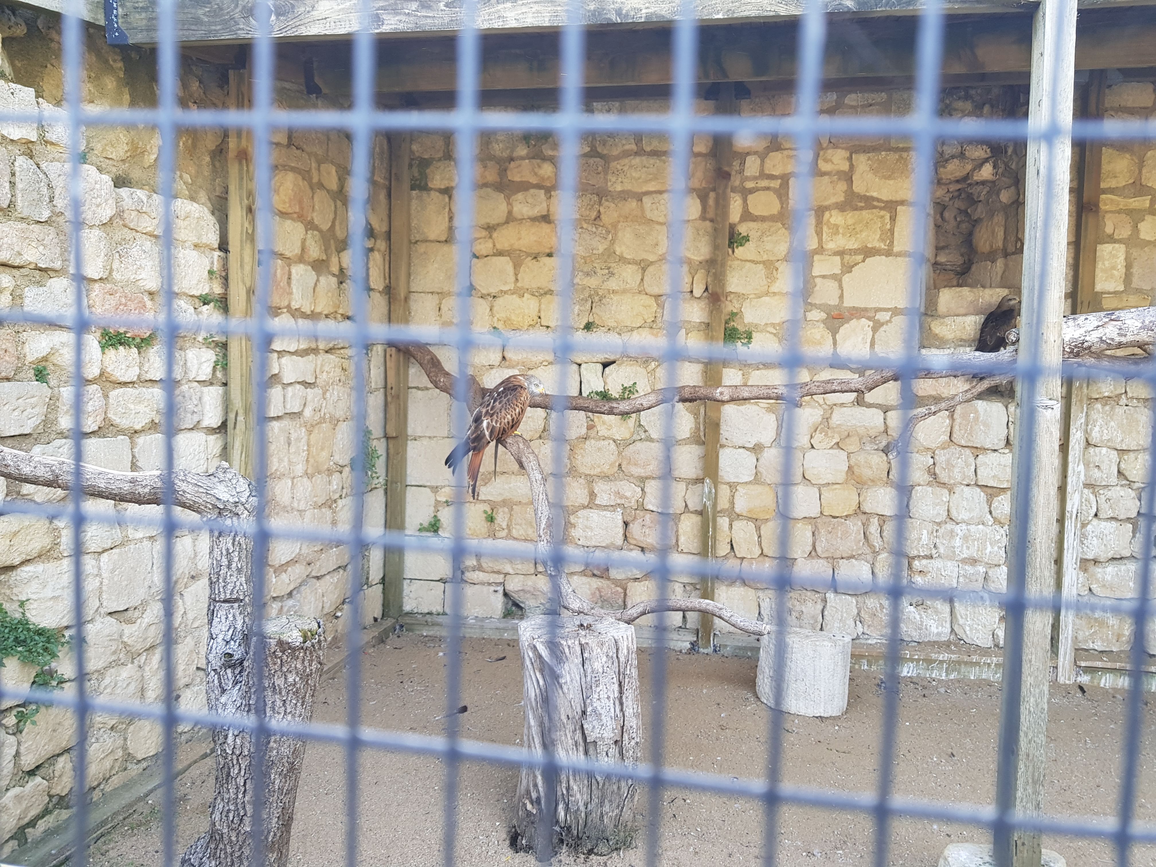 Photo n° 6 de l'avis de Alexandre.L fait le 24/09/2017 à 17:00