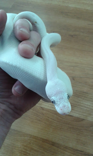 Pet Store «Tanks Pet Supply», reviews and photos, 628 S Main St, Princeton, IL 61356, USA