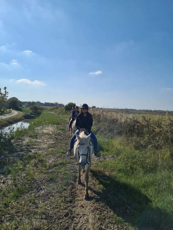 Photo n° 2 de l'avis de Sfp_73. fait le 20/10/2021 à 10:44