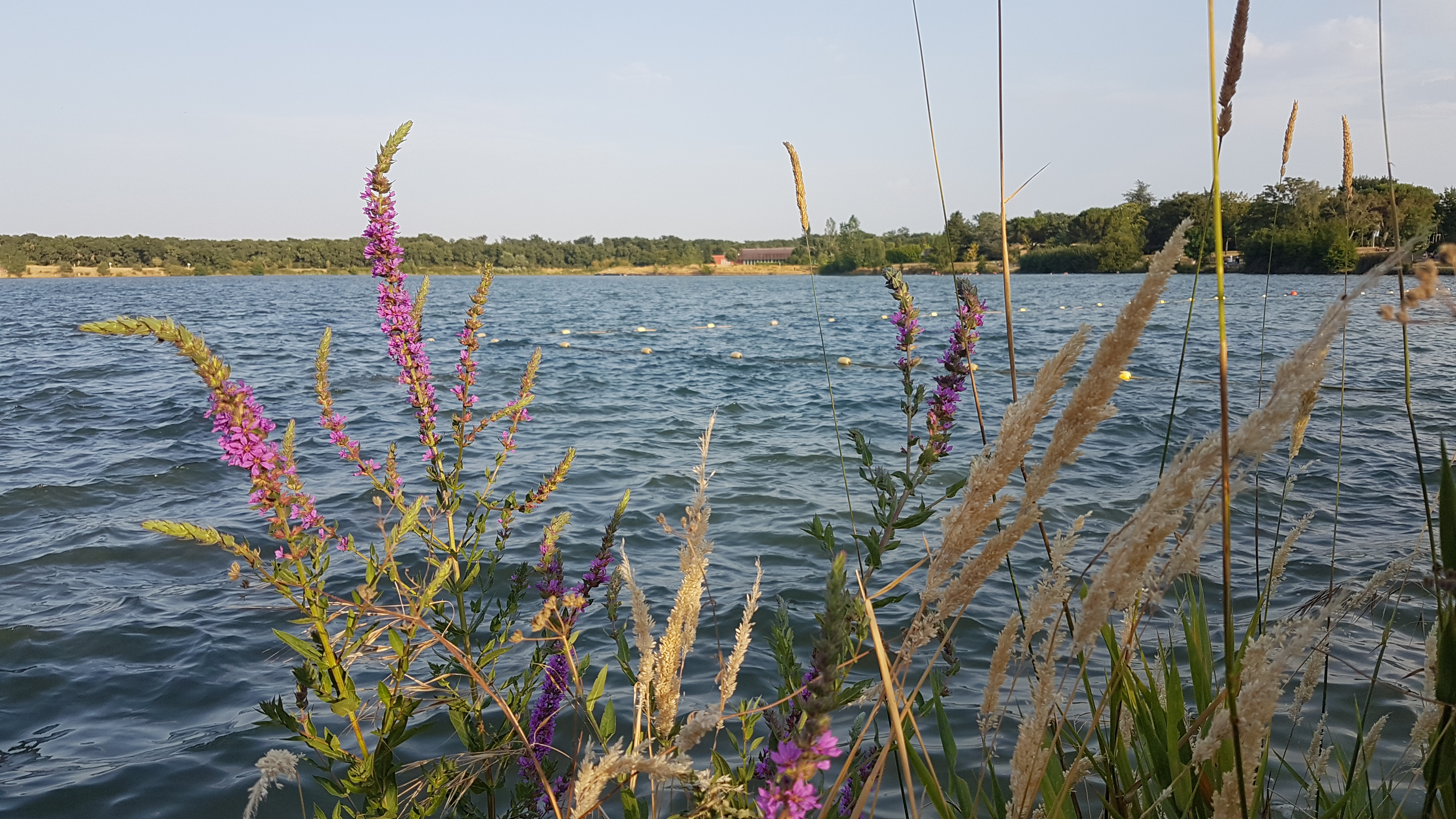 Photo n° 4 de l'avis de Isabelle.e fait le 25/07/2019 à 18:24