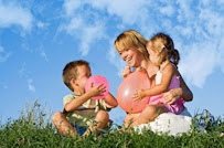 Superior Mosquito Defense - Anne Arundel & Montgomery Counties - Photo 3 - Car repair in , Baltimore