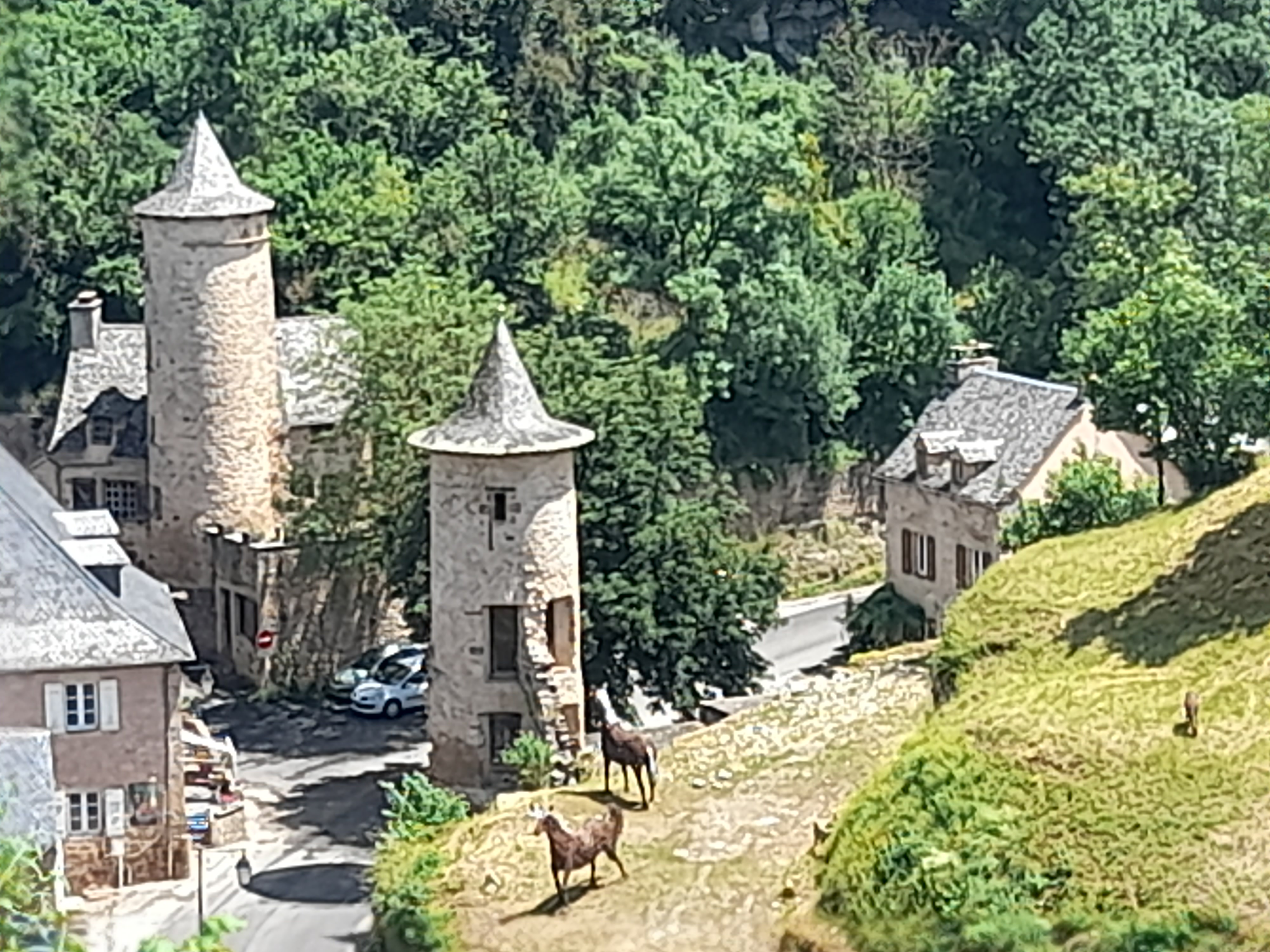 Photo n° 11 de l'avis de Muriel.o fait le 21/06/2021 à 14:03