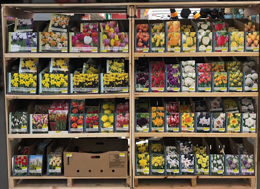 Home Improvement Store «Junction True Value Hardware», reviews and photos, 4747 44th Ave SW, Seattle, WA 98116, USA