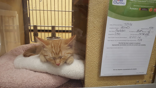 Pet Supply Store «PetSmart», reviews and photos, 2028 Miamisburg Centerville Rd, Dayton, OH 45459, USA