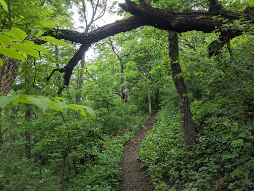 Ice Age Trail – Cross Plains Segment
