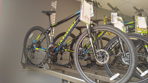 Bicycle Store «Bike America», reviews and photos, 2050 N University Dr, Sunrise, FL 33322, USA