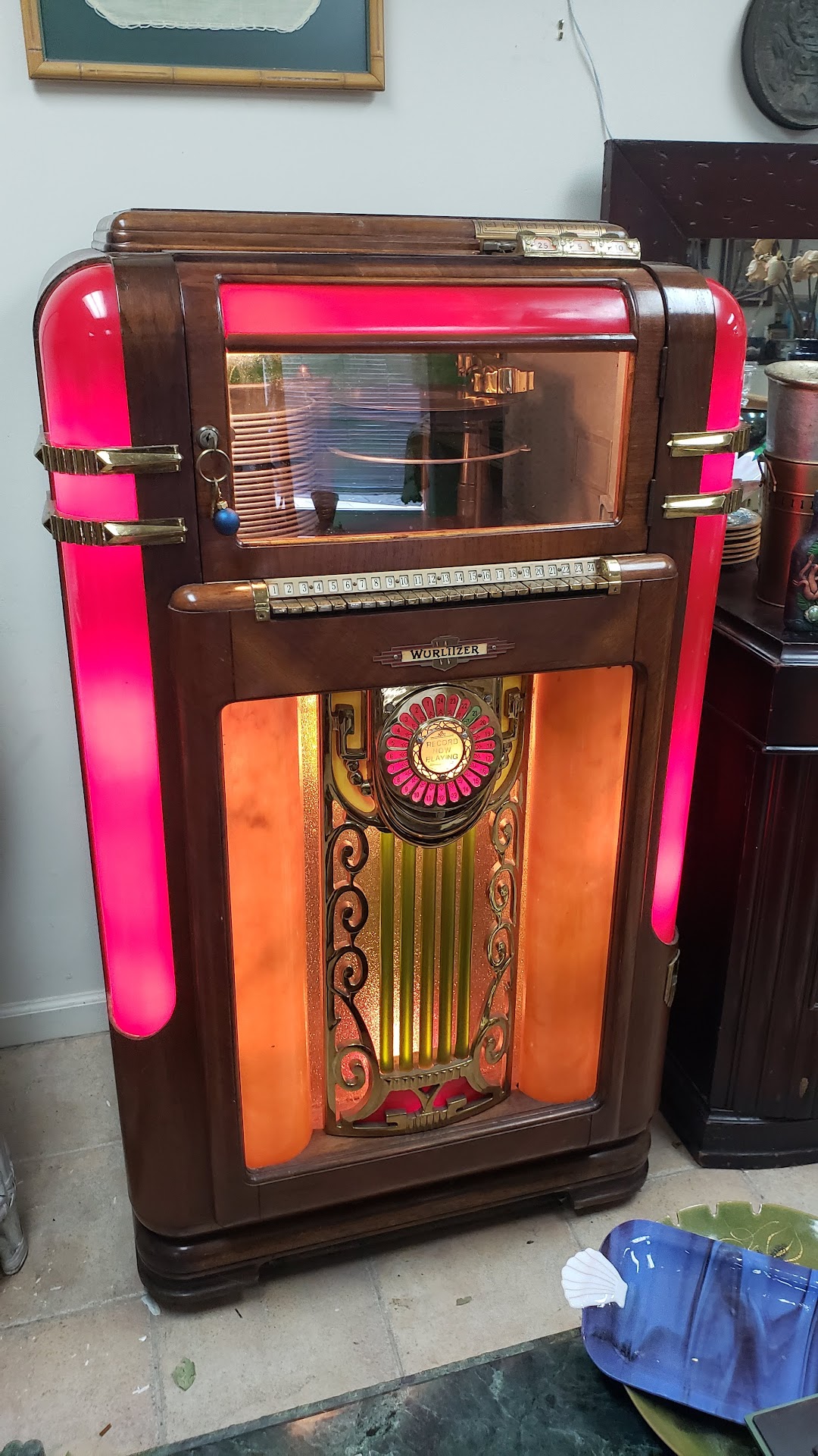 Everything But The Cat