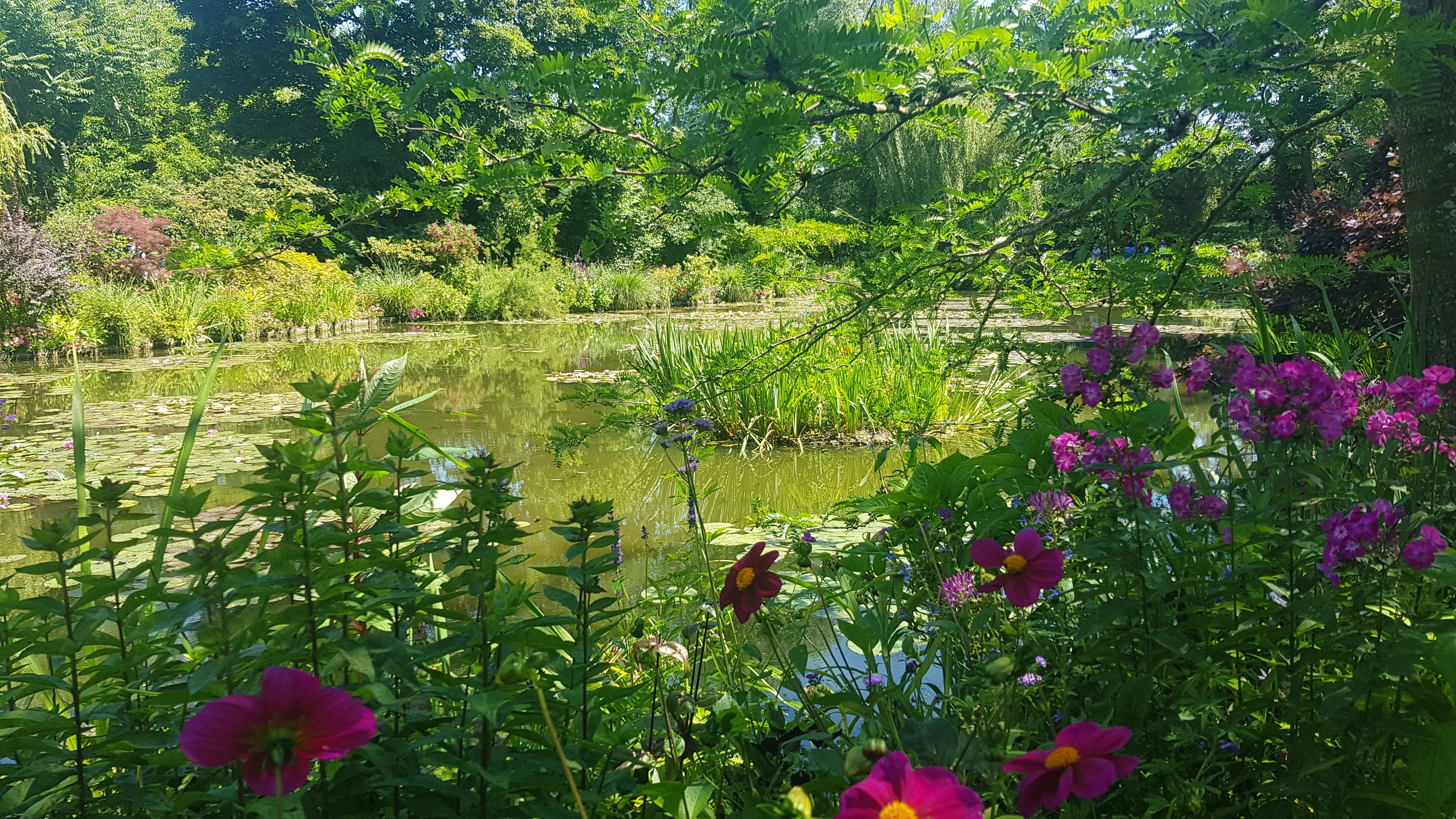 Photo n° 1 de l'avis de Nathanaëlle.a fait le 21/07/2021 à 11:12