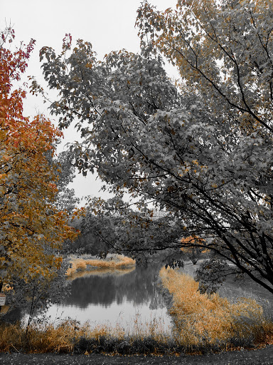 Municipality «Country Lakes Park», reviews and photos, 1835 N Aurora Rd, Naperville, IL 60563, USA