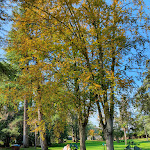 Photo n°3 de l'avis de Oleksiy.a fait le 25/10/2020 à 20:56 sur le  Villa Dei Cedri Spa Hotel à Colà