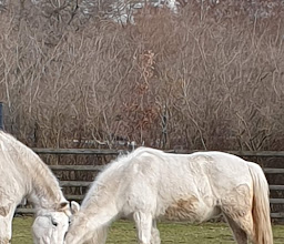 Wuhletal Hiking Trail photo
