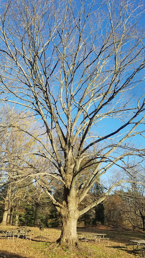 Public Golf Course «Mohansic Golf Course», reviews and photos, 1500 Baldwin Rd, Yorktown Heights, NY 10598, USA