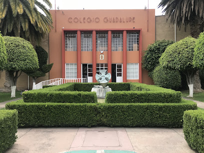 Modelo de negocio